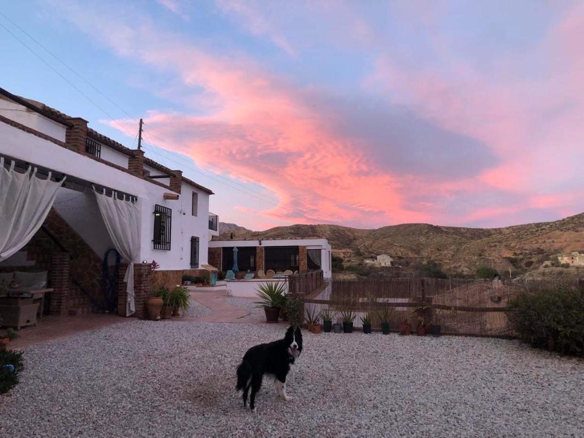 Apartamento Cortijo Perejil, A Tranquil Mountain Escape & Private Pool Oria Exterior foto