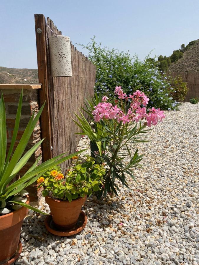 Apartamento Cortijo Perejil, A Tranquil Mountain Escape & Private Pool Oria Exterior foto