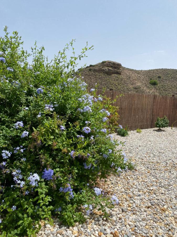 Apartamento Cortijo Perejil, A Tranquil Mountain Escape & Private Pool Oria Exterior foto